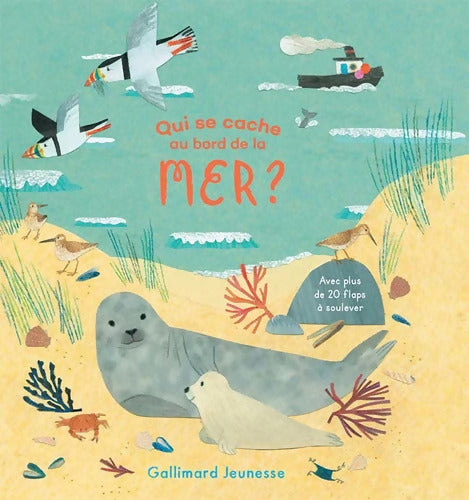 QUI SE CACHE AU BORD DE LA MER ? - Katherine McEwen - Livre