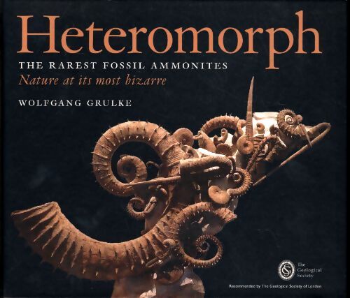 Heteromorph : The rarest fossil ammonites. Nature at its most bizarre - Wolfgang Grulke - Livre