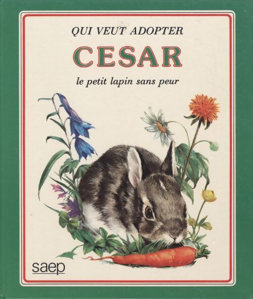 Qui veut adopter cesar le petit lapin sans peur - Klethi - Livre