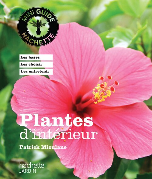 Plantes d'intérieur - Patrick Mioulane - Livre