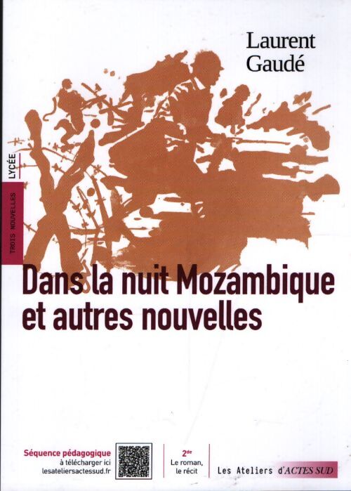 Dans la nuit Mozambique et autres récits - Laurent Gaudé - Livre