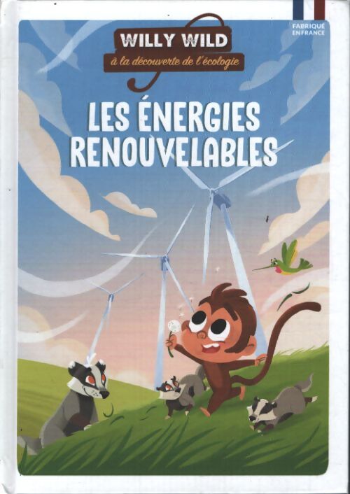 Willy wild - les énergies renouvelables - Pascale Baugé - Livre