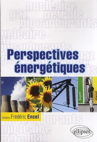 Perspectives énergétiques - Frédéric Encel - Livre