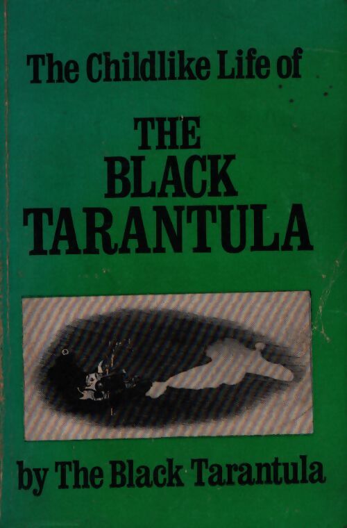 Childlike life of the black tarantula - Kathy Acker - Livre