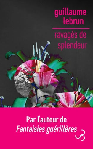 Ravagés de splendeur - Guillaume Lebrun - Livre