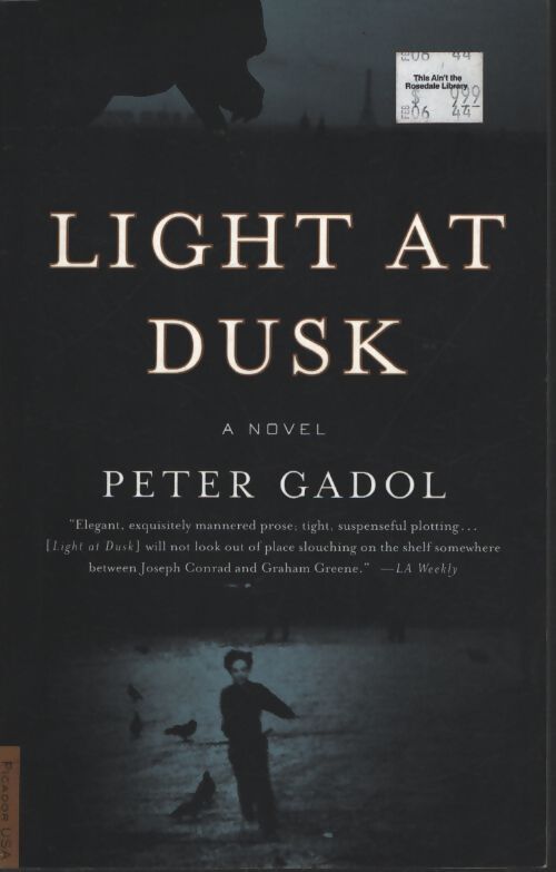 Light at dusk - Peter Gadol - Livre
