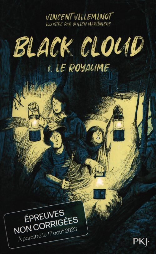 Black cloud Tome I : Le royaume - Vincent Villeminot - Livre
