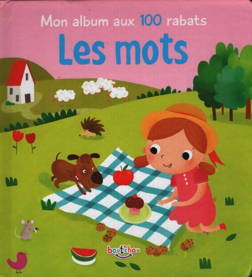 Les mots - Collectif - Livre