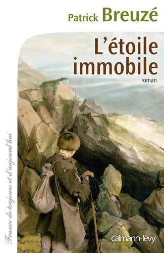 l'étoile immobile - Patrick Breuzé - Livre