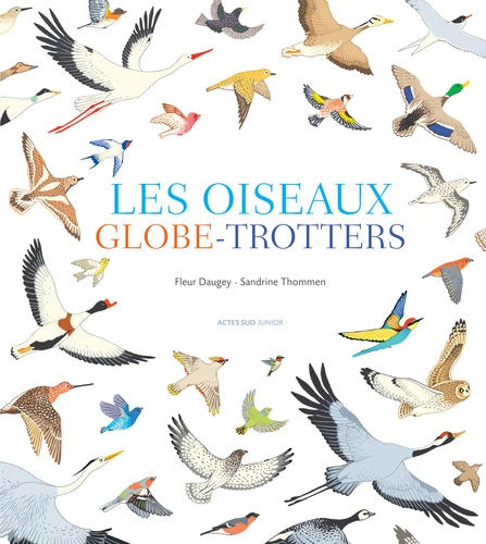 Les oiseaux globe-trotters - Fleur Daugey - Livre