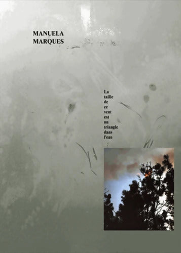 La taille de ce vent est un triangle dans l'eau - Manuela Marques - Livre