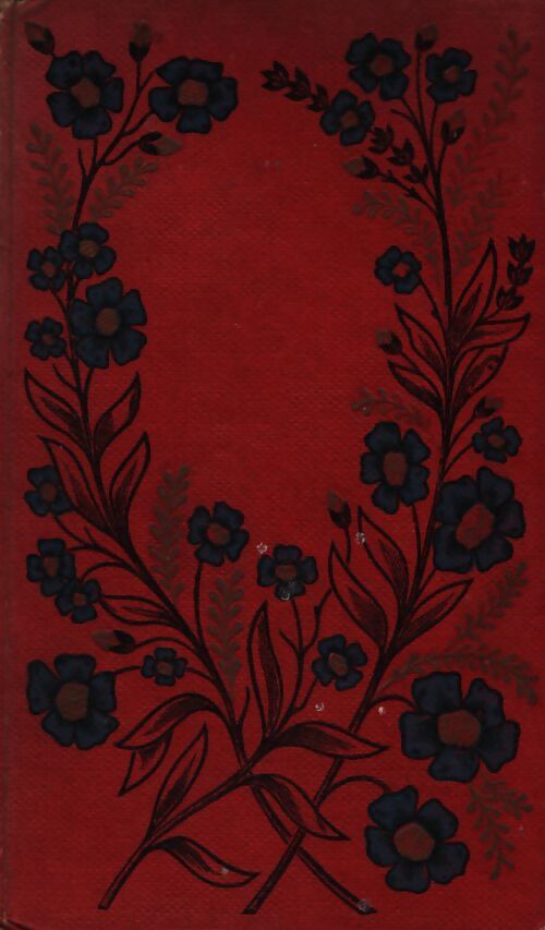 Le nid paternel - Lucie Des Ages - Livre
