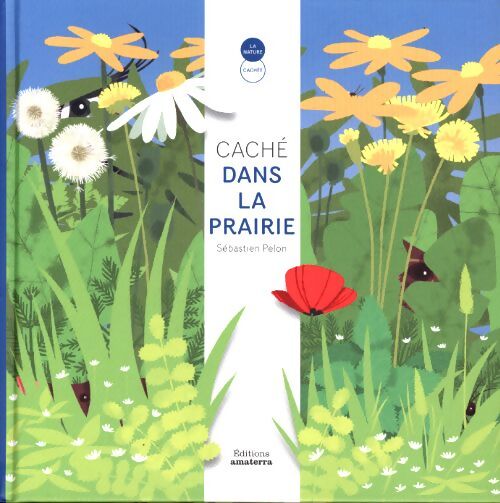 Caché dans la prairie - Sébastien Pelon - Livre