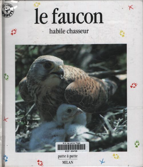 Le faucon : Habile chasseur - Nicolas Van Ingen - Livre