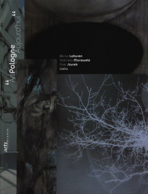 Art pologne aujourd'hui - Collectif - Livre