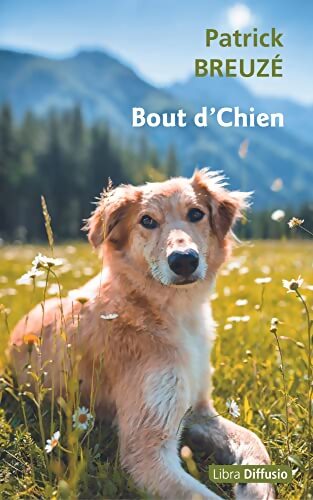 Bout d'chien - Patrick Breuzé - Livre