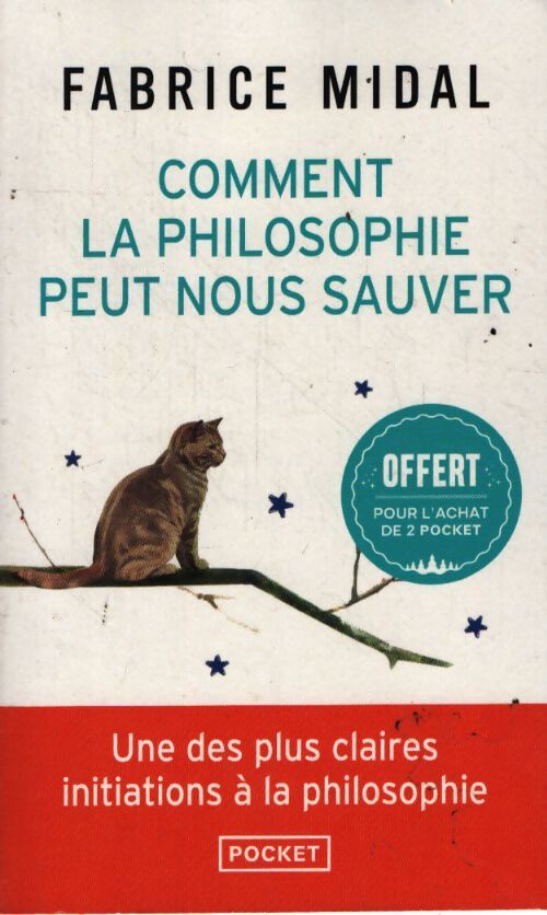 Comment la philosophie peut nous sauver - Fabrice Midal - Livre
