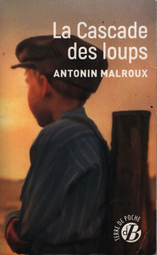 La cascade des loups - Antonin Malroux - Livre