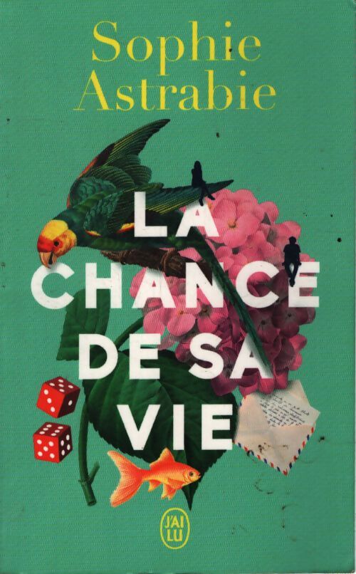 La chance de sa vie - Sophie Astrabie - Livre