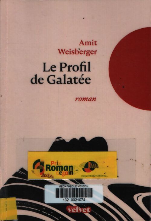 Le profil de galatée - Amit Weisberger - Livre