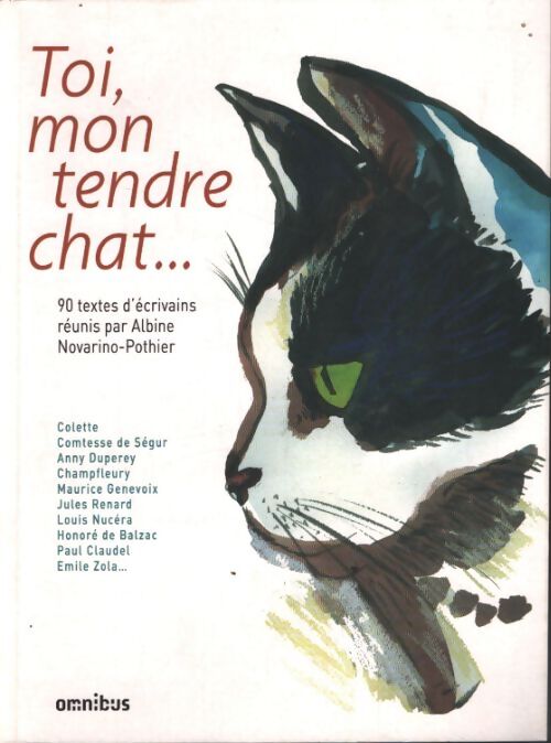 Toi mon tendre chat - Albine Novarino-Pothier - Livre