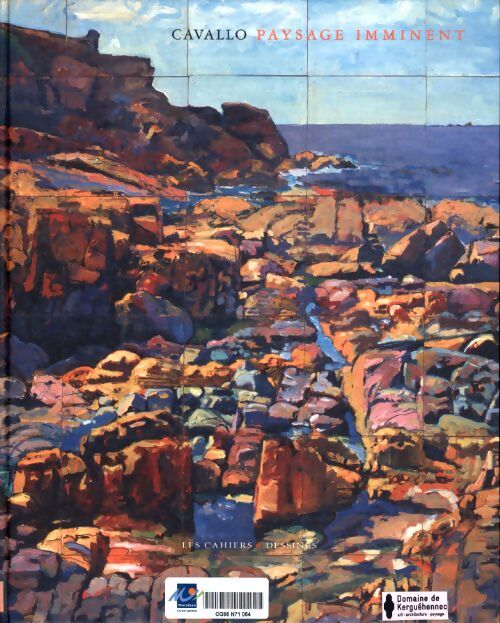 Paysage imminent - Ricardo Cavallo - Livre