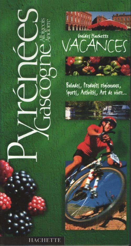 Guide hachette vacances : Pyrénées - gascogne - Guide Hachette Vacances - Livre