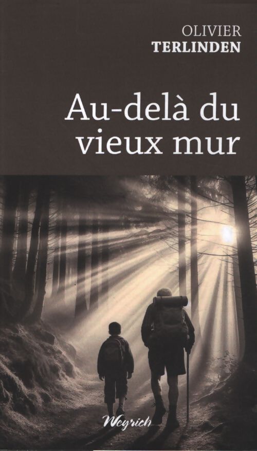 Au-delà du vieux mur - Olivier Terlinden - Livre