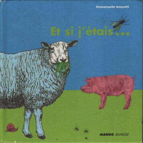 Et si j'étais... - Emmanuelle Anquetil - Livre