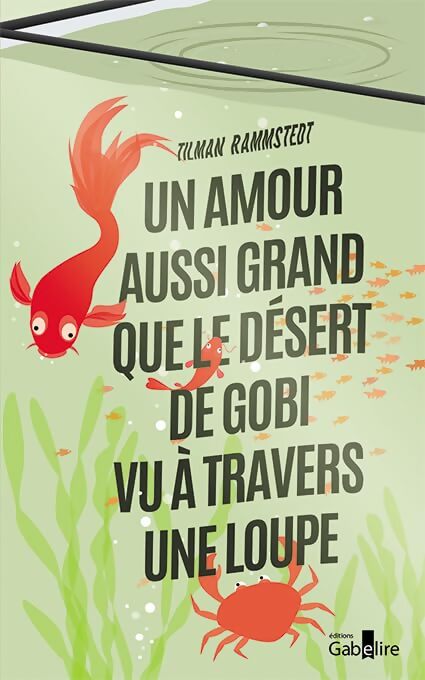 Un amour aussi grand que le désert de gobi vu à travers une loupe - Tilman Rammstedt - Livre