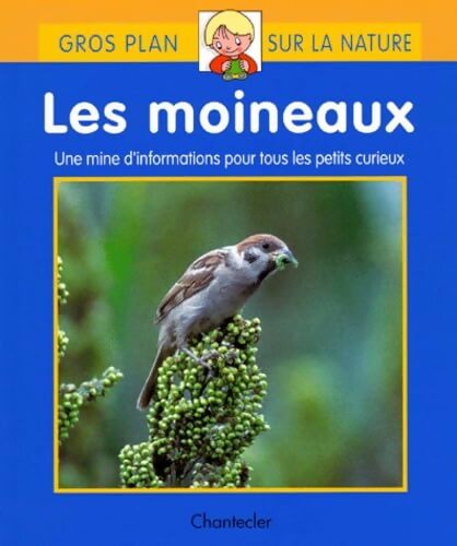 Les moineaux - Chia-Sheng Chen - Livre