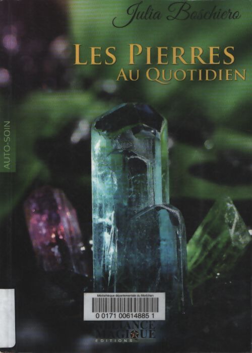 Les pierres au quotidien - Julia Boschiero - Livre