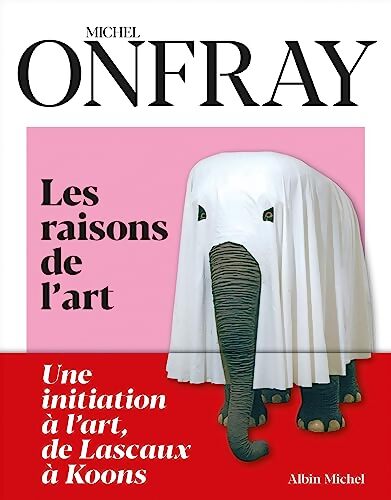 Les Raisons de l'art : Une initiation à l'art de Lascaux à Koons - Michel Onfray - Livre