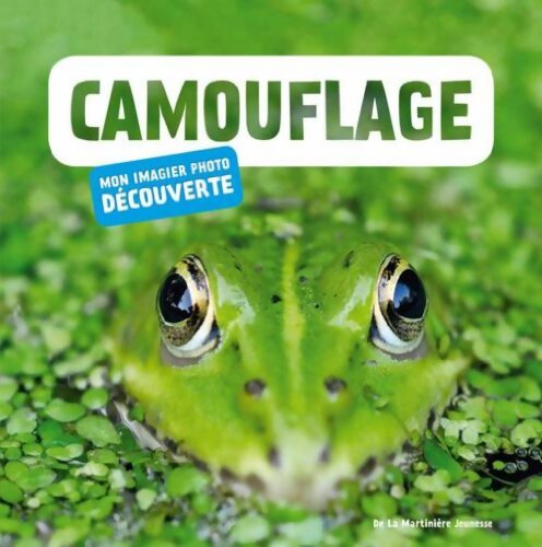 Camouflage - Judith Sarfati-Nouvion - Livre