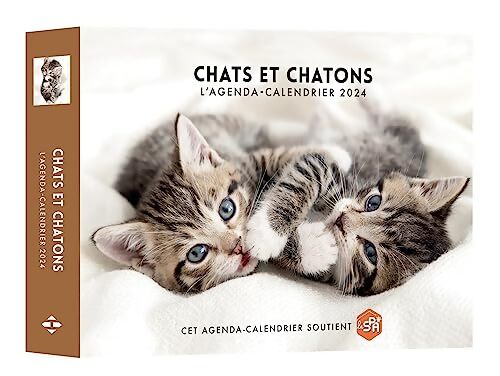 Agenda - Calendrier Chats et chatons 2024 - Collectif - Livre