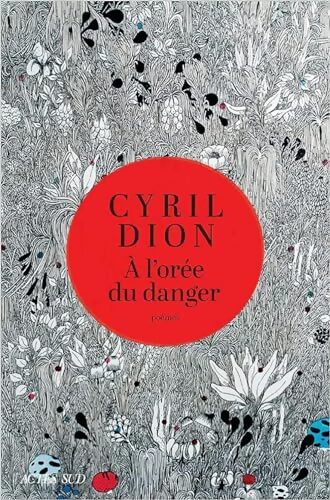 À l'orée du danger - Cyril Dion - Livre