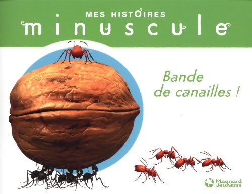 Bande de canailles ! - Thomas Szabo - Livre