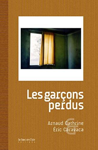 Les garçons perdus - Arnaud Cathrine - Livre