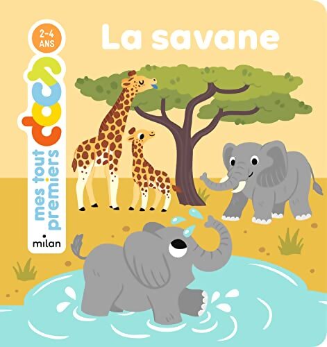 La savane - Jeanne Boyer - Livre