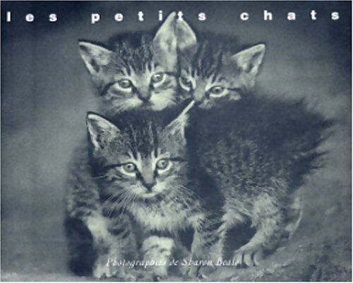 Les petits chats - Sharon Beals - Livre