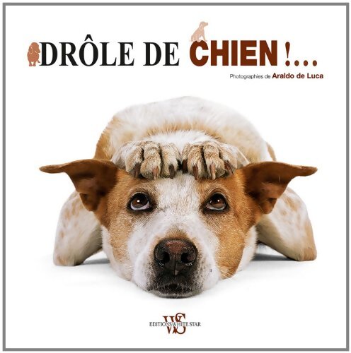 drôle DE CHIEN - ARALDO DE LUCA - Livre