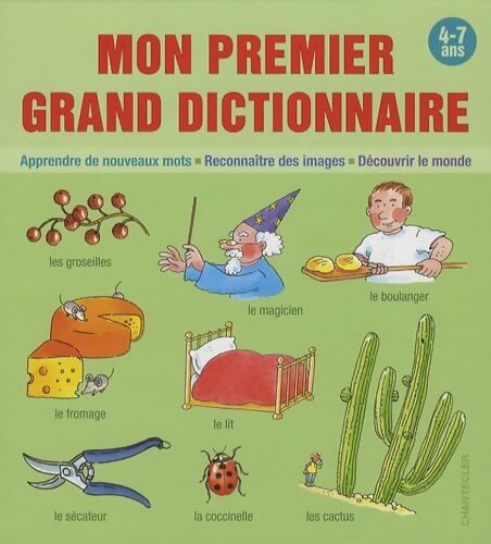 Mon premier grand dictionnaire - Son Tyberg - Livre