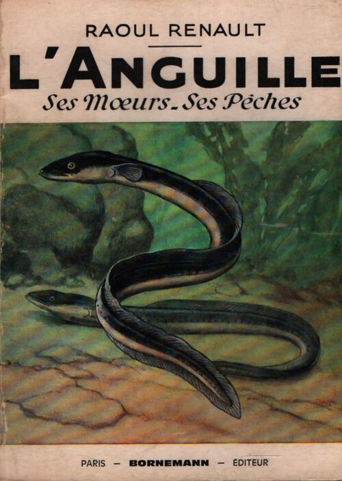 L'anguille : Ses moeurs ses pêches - Raoul Renault - Livre