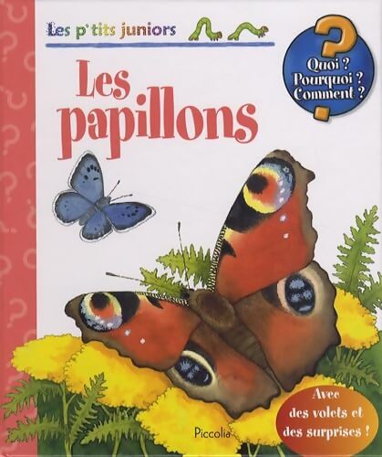 Les papillons - Anne Ebert - Livre