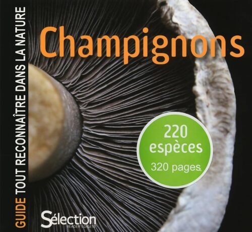 Guide tout reconnaître dans la nature - CHAMPIGNONS - Collectif - Livre