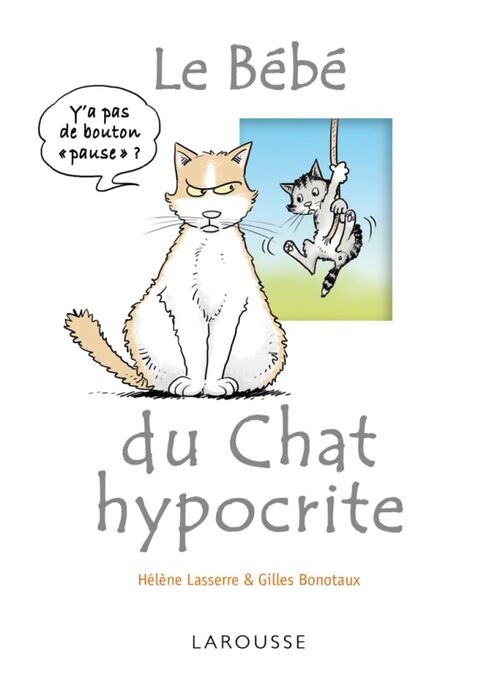 Le bébé du chat hypocrite - Hélène Lasserre - Livre