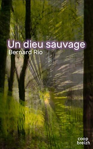 Un dieu sauvage - Bernard Rio - Livre