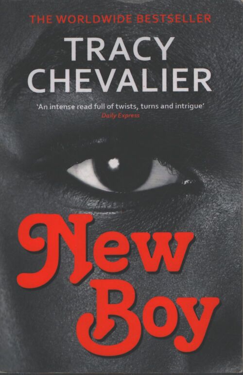 New boy - Tracy Chevalier - Livre