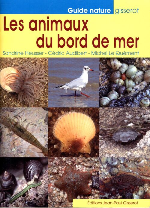 Les animaux du bord de mer - Cédric Audibert - Livre