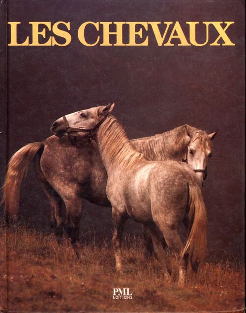Les chevaux - Angela Seyer - Livre